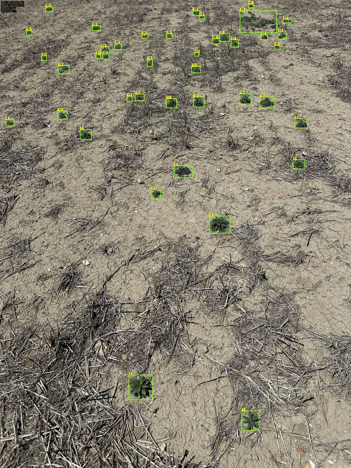 FarmDefender weed detection — real-time AI bounding boxes around weeds detected at field speed, triggering individual nozzle control